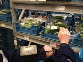 Digitaal vanuit het ordersyteem Digitaal vanuit het ordersyteem